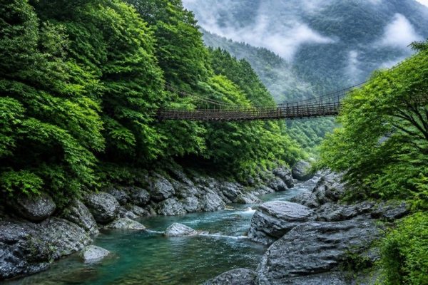 四国の渓谷とかずら橋